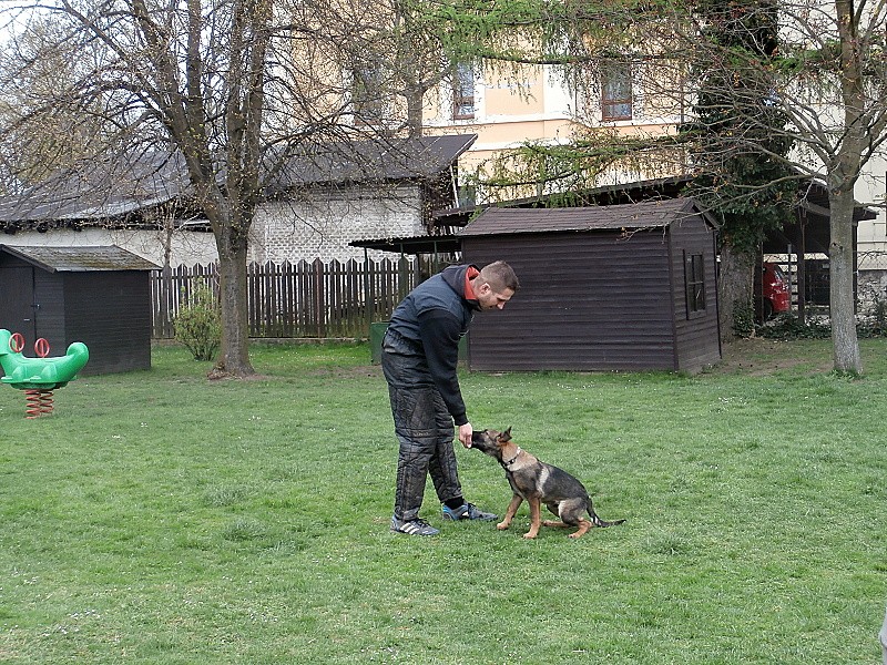 Policejní psovod a pyrotechnik