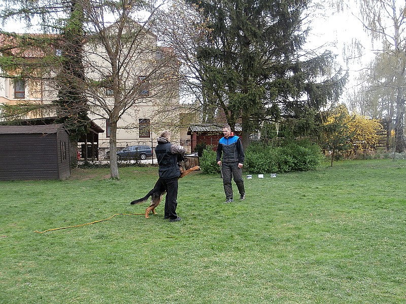 Policejní psovod a pyrotechnik