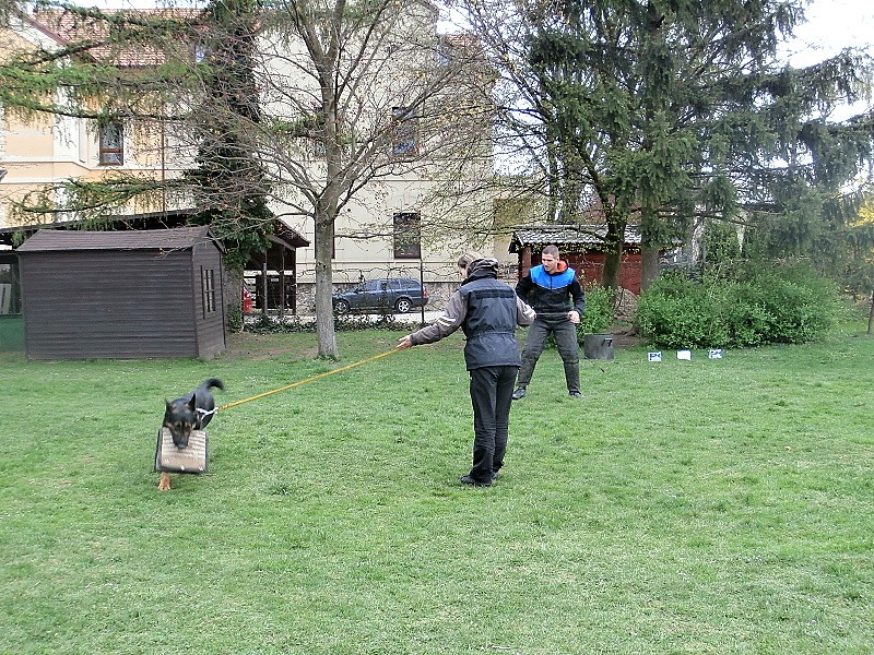 Policejní psovod a pyrotechnik