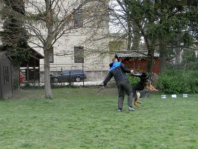 Policejní psovod a pyrotechnik
