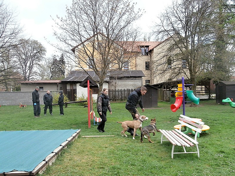 Policejní psovod a pyrotechnik