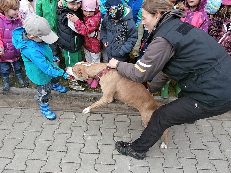 Policejní psovod a pyrotechnik