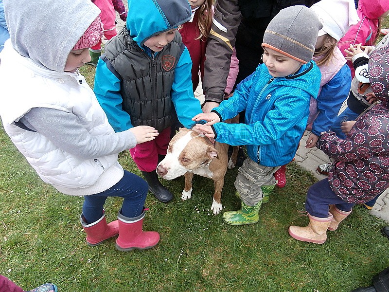 Policejní psovod a pyrotechnik