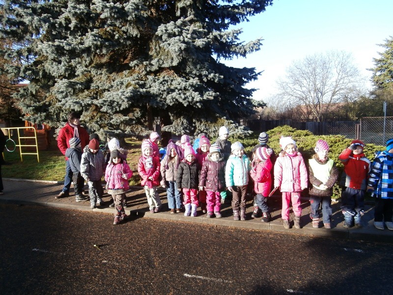 Rozsvěcení vánočního stromu